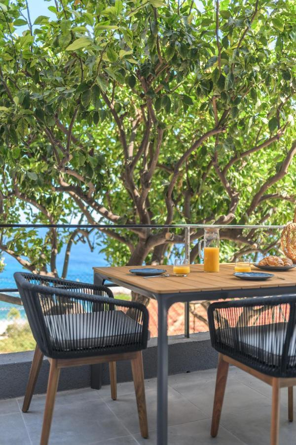Proche Monaco, Vue Mer, Acces Plage Et Jardin Privatif Saint-Antoine  Εξωτερικό φωτογραφία